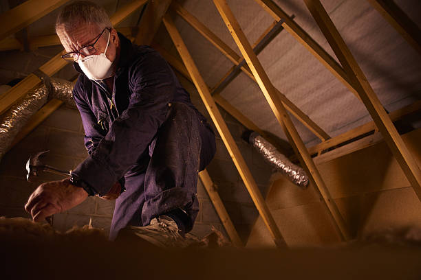 Best Residential Insulation in Millcreek, UT